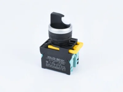 22mm Selector Switch Maintained 2 Or 3 Position Cdxcxm